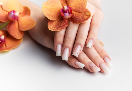 Studio 1 Nail Salon